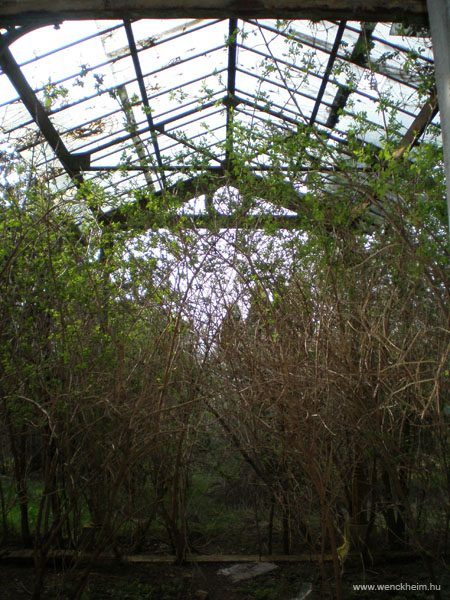 Kiscsako_Geist-Batthyany-kastely 022